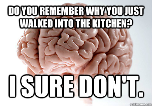Do you remember why you just walked into the kitchen? I sure don't.  Get the [AdviceAnimals Chrome extension!](http://www.livememe.com/extension)  Scumbag Brain