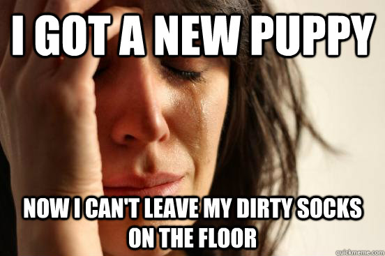 I got a new puppy now I can't leave my dirty socks on the floor   First World Problems