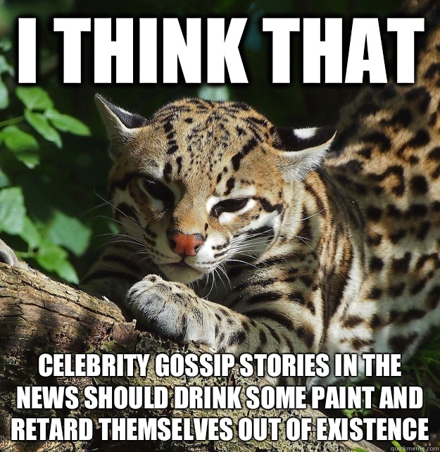 I think that  Celebrity gossip stories in the news should drink some paint and retard themselves out of existence   Opinion Ocelot