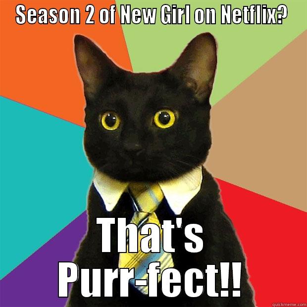 SEASON 2 OF NEW GIRL ON NETFLIX? THAT'S PURR-FECT!! Business Cat