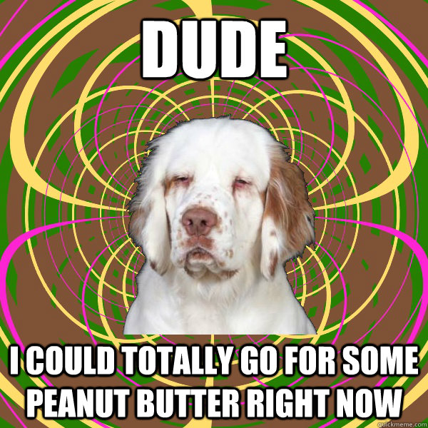 DUDE I COULD TOTALLY GO FOR SOME PEANUT BUTTER RIGHT NOW  Really High Dog