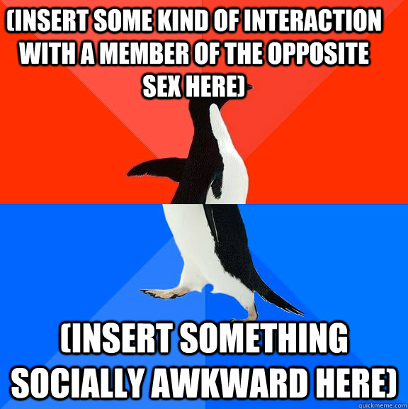(insert some kind of interaction with a member of the opposite sex here) (insert something socially awkward here)  Socially Awesome Awkward Penguin