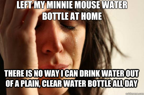 left my Minnie Mouse water bottle at home there is NO WAY I can drink water out of a plain, clear water bottle all day  First World Problems