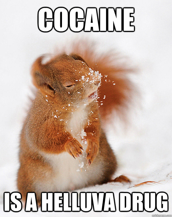 Cocaine is a helluva drug - Cocaine is a helluva drug  cover squirrel