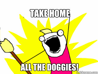 TAKE HOME ALL THE DOGGIES!  All The Things
