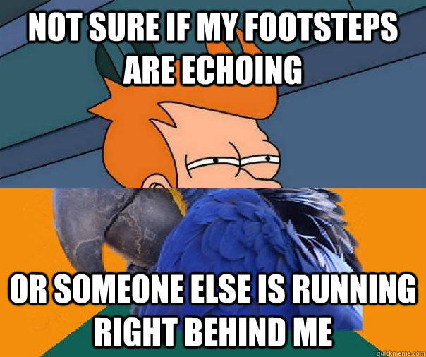 Not sure if my footsteps are echoing or someone else is running right behind me - Not sure if my footsteps are echoing or someone else is running right behind me  Paranoid Fry