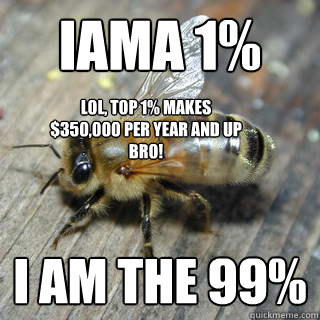 iama 1% I am the 99% lol, Top 1% makes $350,000 per year and up bro!  Hivemind bee