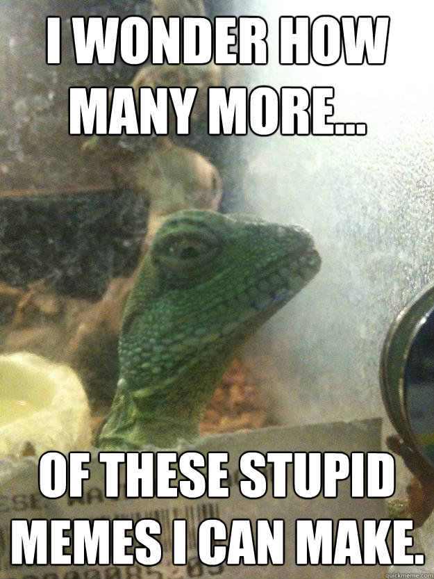 I wonder how many more... of these stupid memes i can make. - I wonder how many more... of these stupid memes i can make.  Leery Lizard