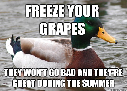 Freeze your grapes They won't go bad and they're great during the summer - Freeze your grapes They won't go bad and they're great during the summer  Actual Advice Mallard