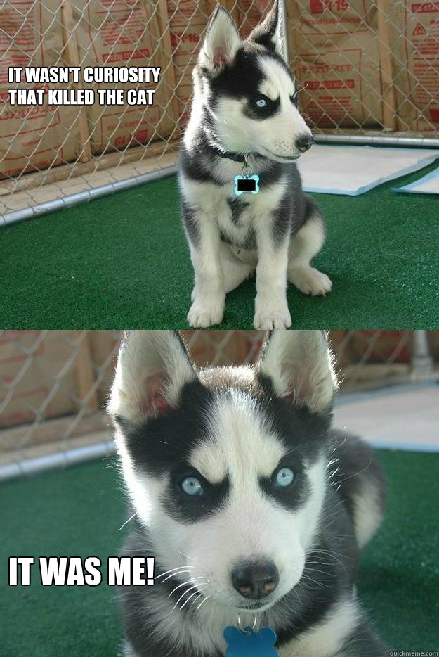 It wasn't curiosity 
that killed the cat It was ME!  Insanity puppy