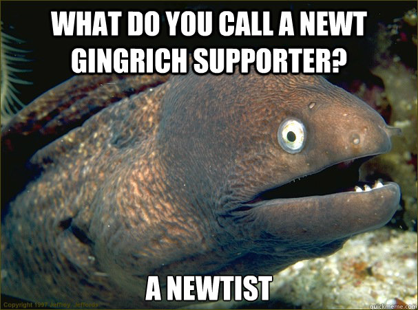 What do you call a Newt Gingrich supporter? A Newtist - What do you call a Newt Gingrich supporter? A Newtist  Bad Joke Eel