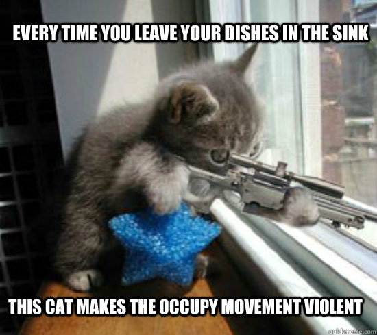 Every time you leave your dishes in the sink This cat makes the Occupy Movement violent  