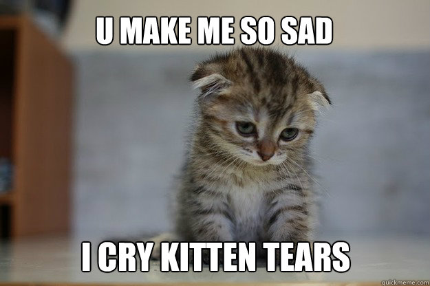 U make me so sad i cry kitten tears - U make me so sad i cry kitten tears  Sad Kitten