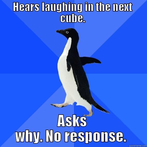 HEARS LAUGHING IN THE NEXT CUBE. ASKS WHY. NO RESPONSE.  Socially Awkward Penguin