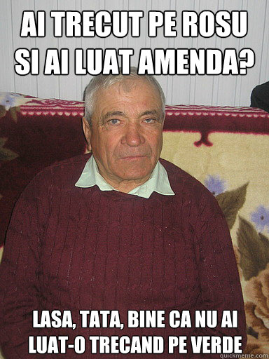 AI TRECUT PE ROSU SI AI LUAT AMENDA? LASA, TATA, BINE CA NU AI LUAT-O TRECAND PE VERDE  Low Expectations Romanian Father