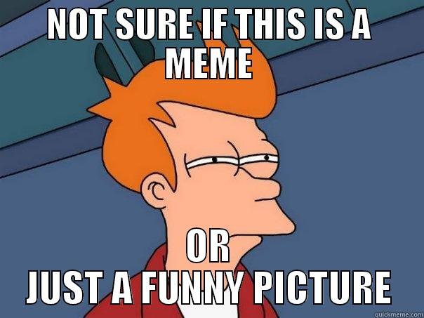 NOT SURE IF THIS IS A MEME OR JUST A FUNNY PICTURE Futurama Fry