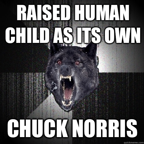 Raised human child as its own Chuck Norris   Insanity Wolf
