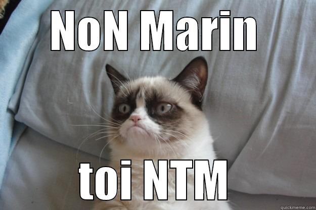 NON MARIN TOI NTM Grumpy Cat