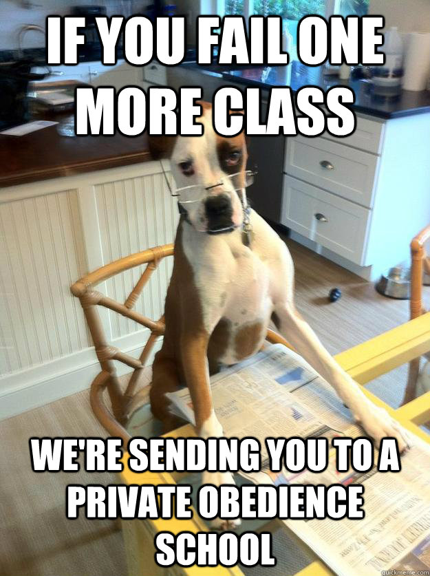 If you fail one more class We're sending you to a private obedience school  
