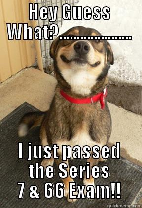 HEY GUESS WHAT?..................... I JUST PASSED THE SERIES 7 & 66 EXAM!! Good Dog Greg