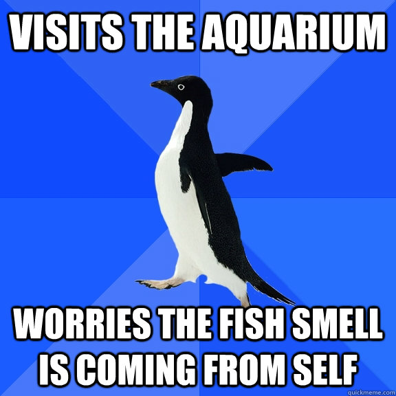 Visits the aquarium worries the fish smell is coming from self  Socially Awkward Penguin