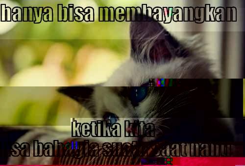 HANYA BISA MEMBAYANGKAN  KETIKA KITA BISA BAHAGIA SUATU SAAT NANTI First World Problems Cat