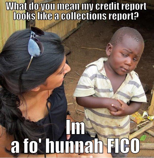 WHAT DO YOU MEAN MY CREDIT REPORT LOOKS LIKE A COLLECTIONS REPORT? IM A FO' HUNNAH FICO Skeptical Third World Kid