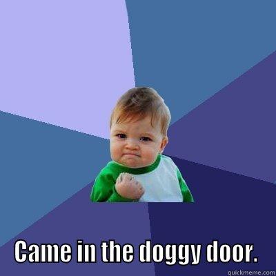 LEO POOPED OUTSIDE THIS MORNING. CAME IN THE DOGGY DOOR. Success Kid