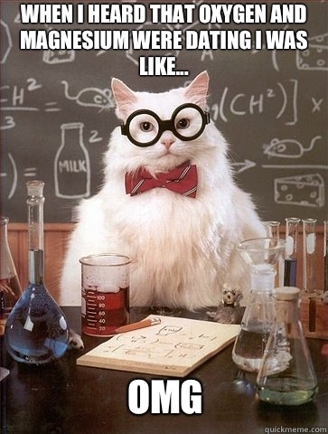 When I heard that Oxygen and Magnesium were dating I was like... OMg  Chemistry Cat