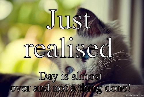 JUST REALISED DAY IS ALMOST OVER AND NOT A THING DONE! First World Problems Cat