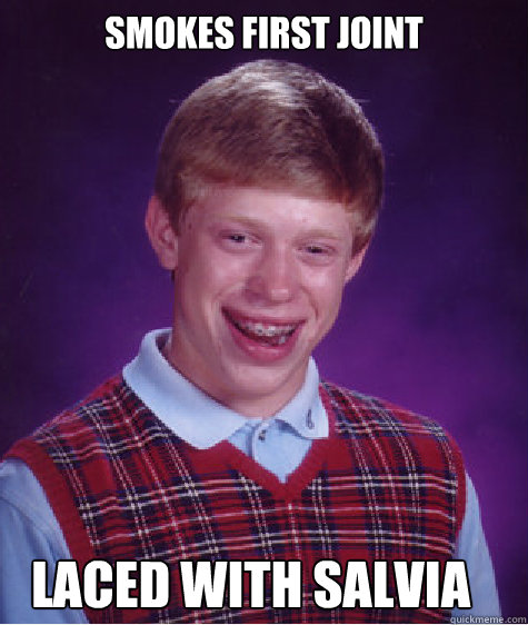 Smokes first joint laced with salvia  Bad Luck Brian