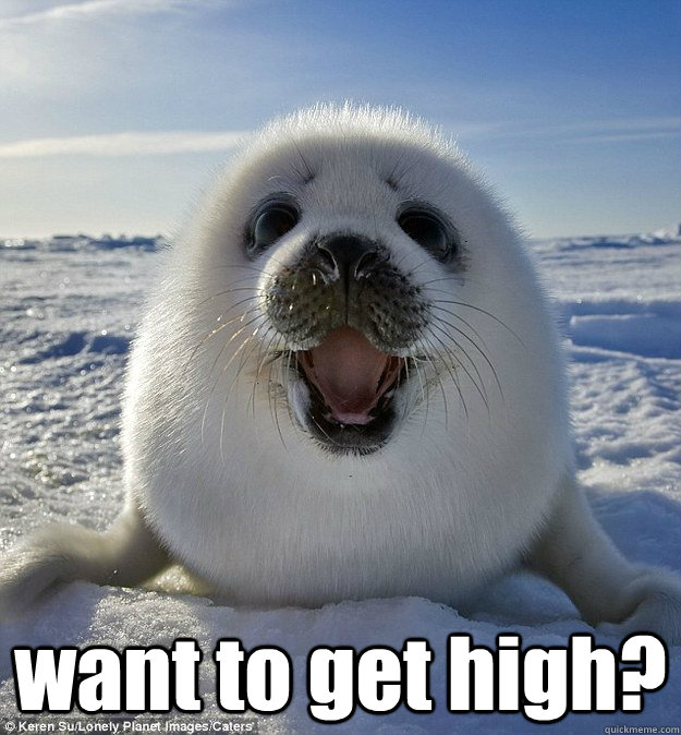  want to get high?  Easily Pleased Seal