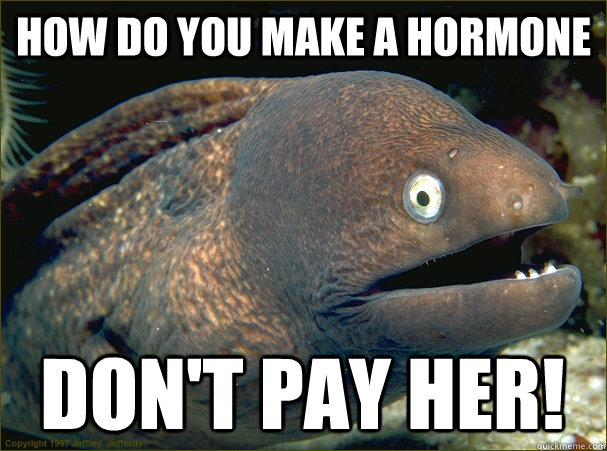 How do you make a hormone Don't pay her!  Bad Joke Eel