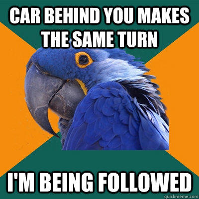 car behind you makes the same turn i'm being followed  Paranoid Parrot