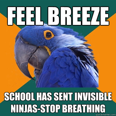 Feel breeze school has sent invisible ninjas-Stop breathing  Paranoid Parrot