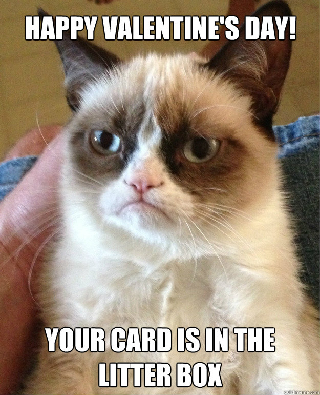 happy valentine's day! your card is in the litter box - happy valentine's day! your card is in the litter box  Misc