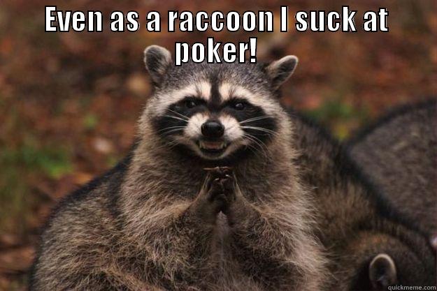 KRISCOONKOWSKI AHAH - EVEN AS A RACCOON I SUCK AT POKER!  Evil Plotting Raccoon