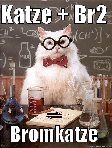 KATZE + BR2  ⇌ BROMKATZE Chemistry Cat