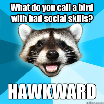 What do you call a bird with bad social skills? HAWKWARD  Lame Pun Coon