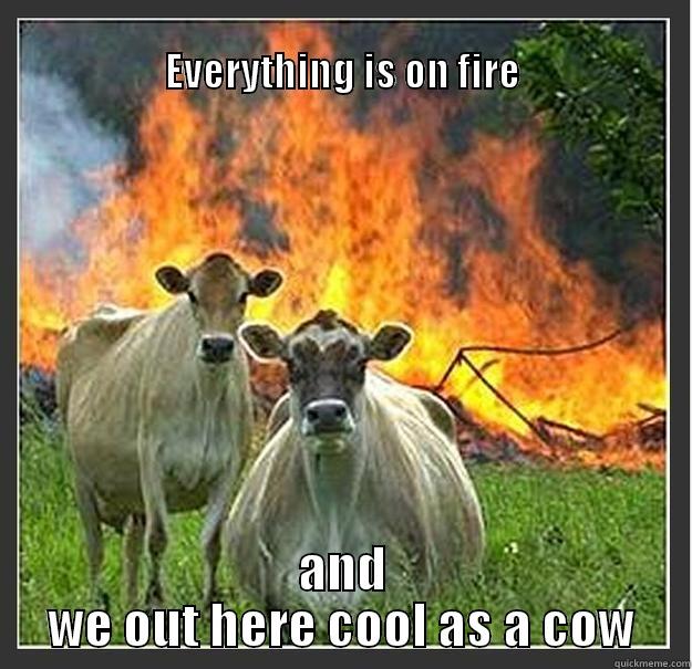 Cool as a cow -                                                                                     EVERYTHING IS ON FIRE AND WE OUT HERE COOL AS A COW Evil cows