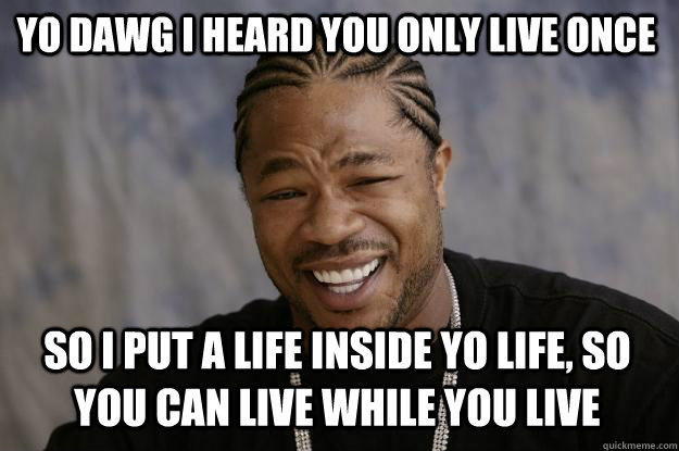 yo dawg i heard you only live once so i put a life inside yo life, so you can live while you live - yo dawg i heard you only live once so i put a life inside yo life, so you can live while you live  Xzibit meme