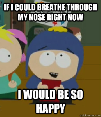 If I could breathe through my nose right now I would be so happy  Craig - I would be so happy