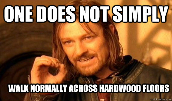ONE DOES NOT SIMPLY WALK NORMALLY ACROSS HARDWOOD FLOORS  One Does Not Simply