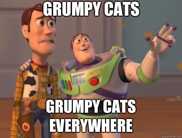 Grumpy cats Grumpy cats everywhere  Toy Story