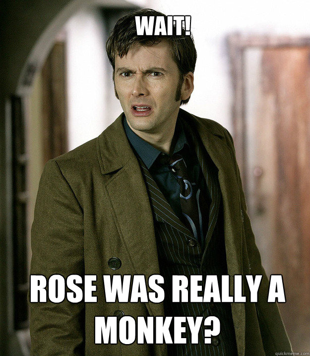 Wait! Rose was really a monkey? - Wait! Rose was really a monkey?  Doctor Who