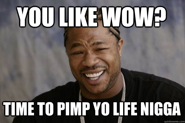you like wow? time to pimp yo life nigga  Xzibit meme