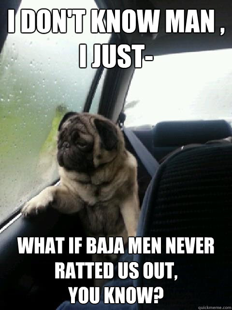 I don't know man ,
i just-  what if baja men never ratted us out, 
you know? - I don't know man ,
i just-  what if baja men never ratted us out, 
you know?  Introspective Pug