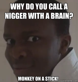 why do you call a nigger with a brain? Monkey on a stick!   KSIolajidebt