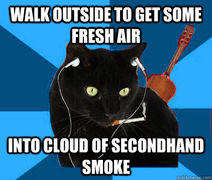 walk outside to get some fresh air into cloud of secondhand smoke  Socially Awkward Berklee Cat