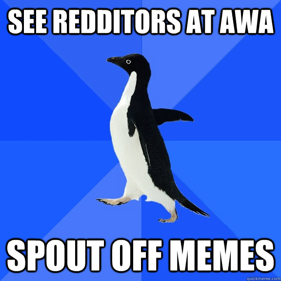 See Redditors at AWA Spout off memes  Socially Awkward Penguin